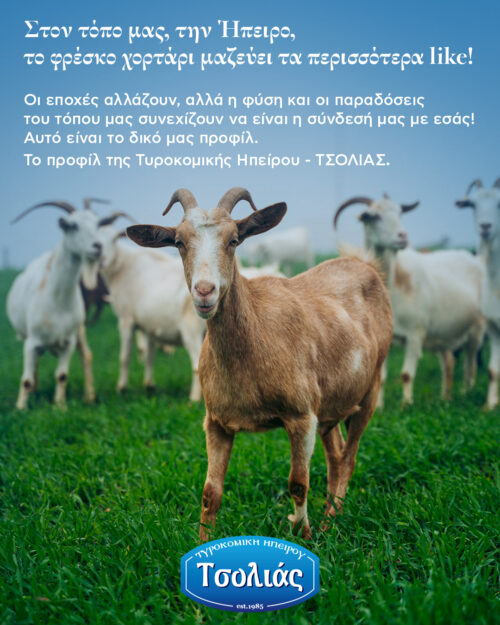 Τυροκομική Ηπείρου - ΤΣΟΛΙΑΣ